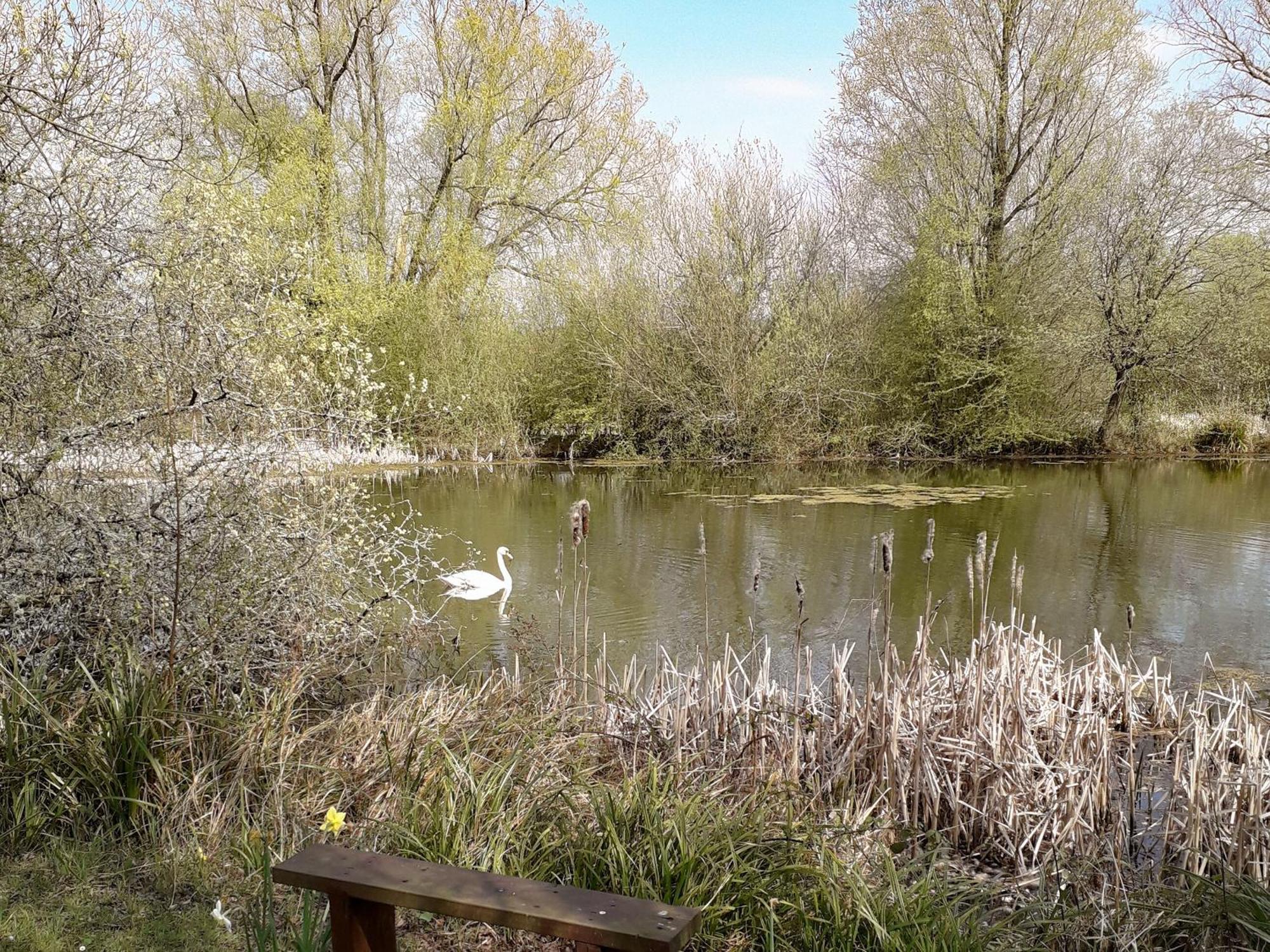 Herons Nest Bourton-on-the-Water Kültér fotó